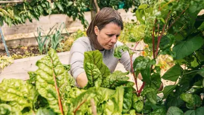 Boiling Water and Other Cheap Tricks to Kill Weeds Without Harsh Chemicals