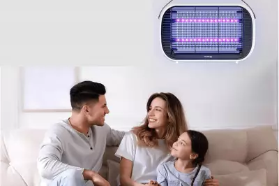 Buzbug Bug Zapper Deal: Amazon Summer Discount on Indoor Mosquito Trap