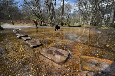 Discover Cannock Chase: Britain's Enchanting Woodland Escape