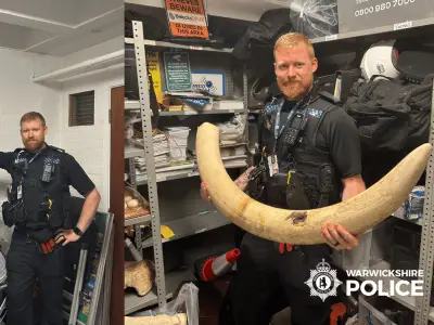 Elephant skull and rhino foot seized in Warwickshire antique shop raids