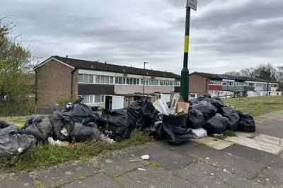 Future Birmingham Council Leaders Must Tackle Bin Strike Crisis
