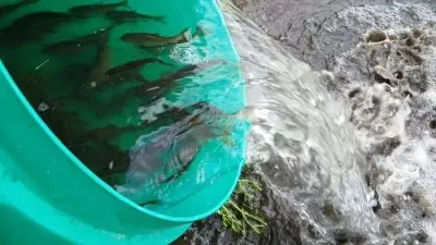 Greenfield Valley Residents Invited to Shape Future of Meadow Mill Fishing Pool