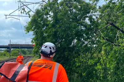 Rail Line Reopens Between Wolverhampton and Birmingham After Tree Fall