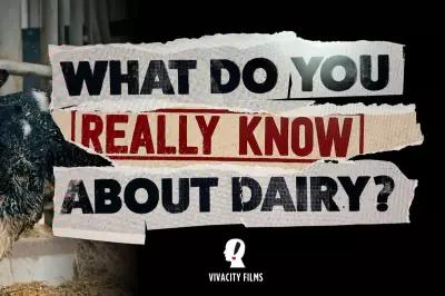 Viva Marks World Milk Day by Announcing Major Dairy Documentary