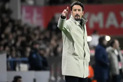 What Next for Wolves After Shock Managerial Change