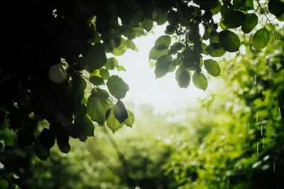 When Will Temperatures Rise Again in the West Midlands?