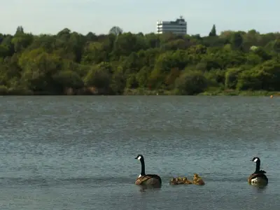 Woman's Body Recovered from Sandwell Valley Country Park Pool