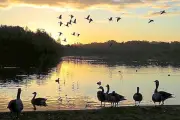 9 Stunning Sunset Spots in West Midlands Including Hidden Gems