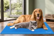 Amazon Deal: PECUTE Dog Cooling Mat for £19.99 – Keep Pets Cool in Summer
