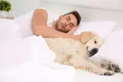 Best and Worst Dog Breeds for Sharing Your Bed in 2026