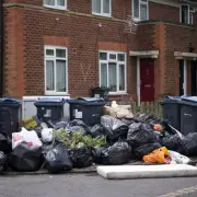 Birmingham Must End 16-Month Recycling Suspension Urgently