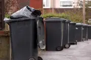 Birmingham Residents Urged to Put Bins Out Earlier for Collection