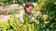 Boiling Water and Other Cheap Tricks to Kill Weeds Without Harsh Chemicals