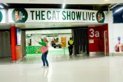 Cat Show Live Launches Crowdfunder to Support UK Cat Rescues