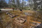 Discover Cannock Chase: Britain's Enchanting Woodland Escape