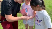 Free Family Fun Day at Waltham Abbey Gardens on June 20