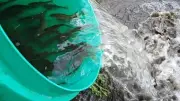 Greenfield Valley Residents Invited to Shape Future of Meadow Mill Fishing Pool