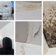 Hospital medic and head teacher urge council to help family in mould-ridden house
