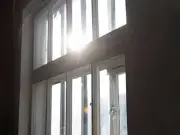 Households Warned to Shut Windows as Flying Ant Day Arrives Early in 2026