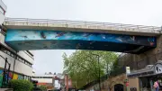 New Stockport Mural Celebrates Rare Birds and Insects by Local Artist