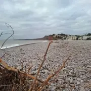 No-Swim Warnings Issued at Four Devon Beaches Over Pollution Fears