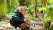 Northumberland Wildlife Trust Hosts Free Nature Event at Jesmond Dene on July 4