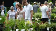 Plant Hunters' Fair Returns to Whittington Castle This June