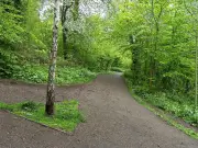Police Treat Two Park Abduction Attempts in Black Country as Potentially Linked