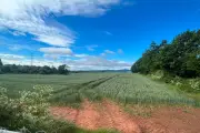 Residents Say 180 Homes Would Ruin Iconic View of West Midlands Beauty Spot