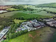 Ribena Owner Suntory Invests £14.5m in New Blackcurrant Processing Plant