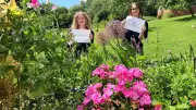 Shropshire Festivals Launches Garden Competition for Schools and Groups
