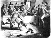 The Brutal History of Rat Baiting in the West Midlands Revealed