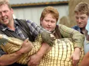 Toddler Thrown into Crocodile Enclosure at Huntingdon Zoo May Have Escaped Death