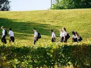 UK Heatwave Forces 41 School Closures After Met Office Red Warning
