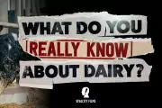 Viva Marks World Milk Day by Announcing Major Dairy Documentary