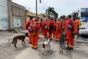 West Midlands Fire Service Dog Helps Search for Venezuela Earthquake Survivors