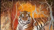 Wildlife Artist Pollyanna Pickering's Tiger Exhibition Opens in Matlock