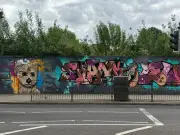Wolverhampton's Chapel Ash Transformed into Open Air Art Gallery by Street Artists