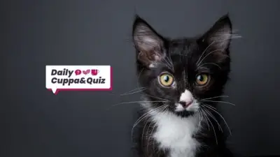 Amy Winehouse Death Anniversary and General Knowledge Quiz Answers July 22