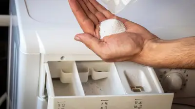 Biological washing powder: 5p solution to prevent drain fly infestations