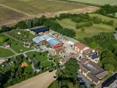 Boy Thrown into Crocodile Enclosure Faces More Surgeries, Uncertain Recovery