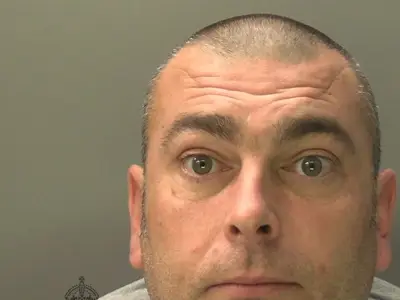 Chris Williams jailed for 28 months for 'disgusting' child abuse images