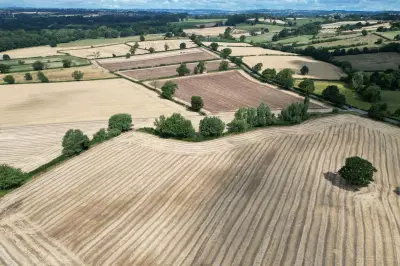 Drought Declared in West Midlands: When Will Rain Return?