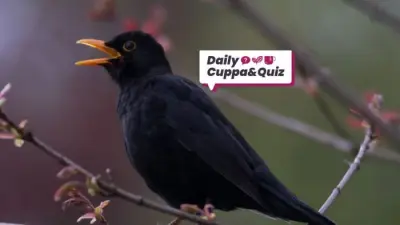 English Novelist William Makepeace Thackeray Born in 1811: Daily Quiz
