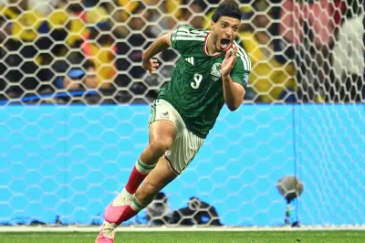 Former Midfielder Praises Wolves' 'Gold Dust' Signing of World Cup Star