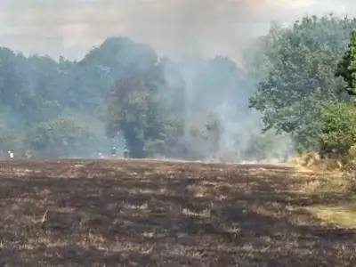 Forty firefighters battle grass fire at Woodgate Valley Country Park, Birmingham