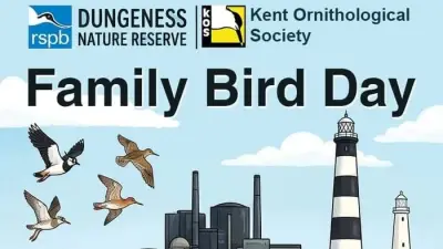Free Family Nature Event Coming to Kent Coast This August