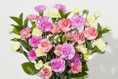 Letterbox Flowers: The Surprise Gift That Always Delivers