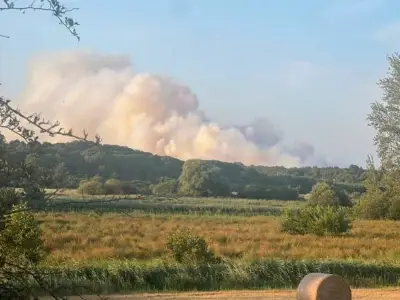 Major Incident at National Trust Site as Fire Breaks Out Near Sizewell B Nuclear Plant