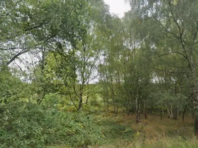 Man arrested after woman grabbed by knife-wielding man in Cannock
